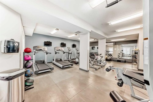415-402 Marquis Lane Se, Calgary, AB - Indoor Photo Showing Gym Room