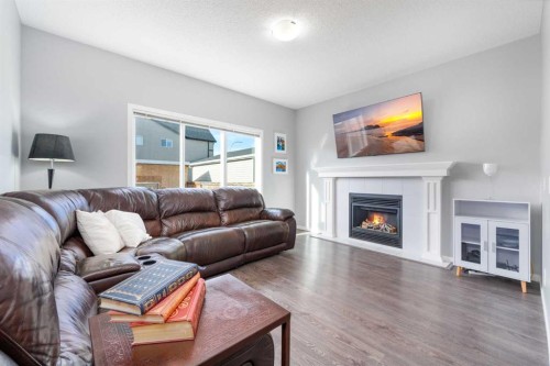 64 Copperpond Park Se, Calgary, AB - Indoor Photo Showing Living Room With Fireplace