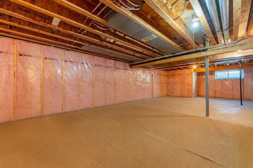 64 Copperpond Park Se, Calgary, AB - Indoor Photo Showing Basement