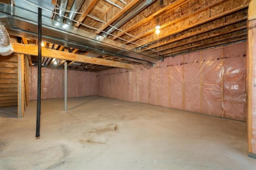 64 Copperpond Park Se, Calgary, AB - Indoor Photo Showing Basement