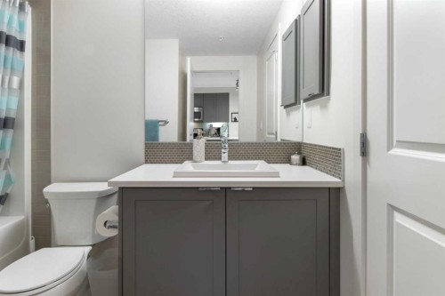 128-25 Auburn Meadows Avenue Se, Calgary, AB - Indoor Photo Showing Bathroom