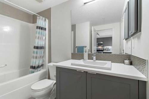 128-25 Auburn Meadows Avenue Se, Calgary, AB - Indoor Photo Showing Bathroom