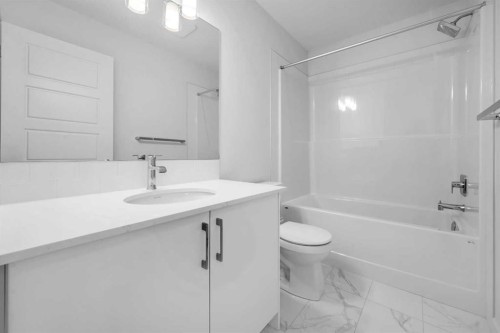 101-25 Evanscrest Mews Nw, Calgary, AB - Indoor Photo Showing Bathroom