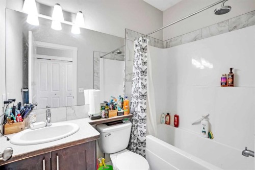 116 Skyview Ranch Road Ne, Calgary, AB - Indoor Photo Showing Bathroom