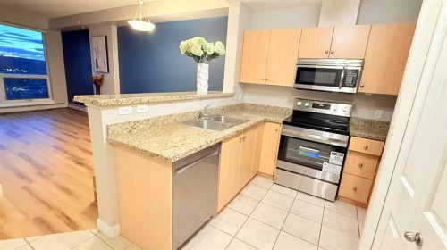 1411-1053 10 Street Sw, Calgary, AB - Indoor Photo Showing Kitchen With Double Sink