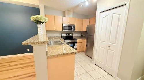 1411-1053 10 Street Sw, Calgary, AB - Indoor Photo Showing Kitchen With Double Sink