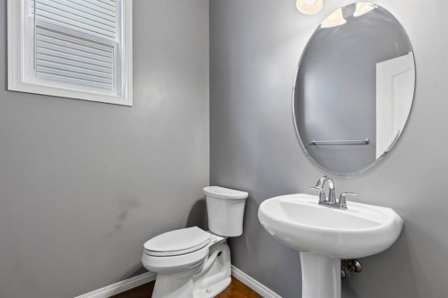 1043 Copperfield Boulevard Se, Calgary, AB - Indoor Photo Showing Bathroom