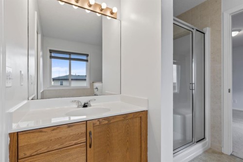 1043 Copperfield Boulevard Se, Calgary, AB - Indoor Photo Showing Bathroom