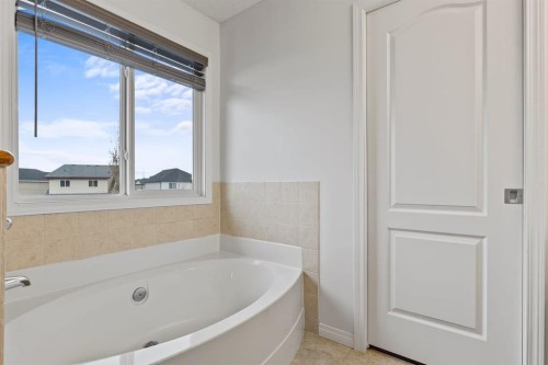 1043 Copperfield Boulevard Se, Calgary, AB - Indoor Photo Showing Bathroom