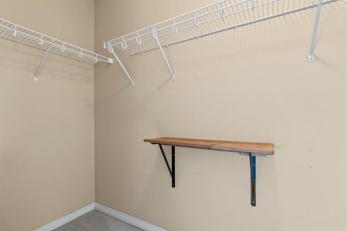 1043 Copperfield Boulevard Se, Calgary, AB - Indoor With Storage