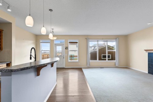 1043 Copperfield Boulevard Se, Calgary, AB - Indoor Photo Showing Kitchen With Upgraded Kitchen