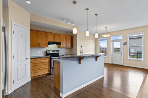 1043 Copperfield Boulevard Se, Calgary, AB - Indoor Photo Showing Kitchen With Upgraded Kitchen