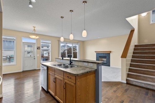1043 Copperfield Boulevard Se, Calgary, AB - Indoor Photo Showing Kitchen With Double Sink