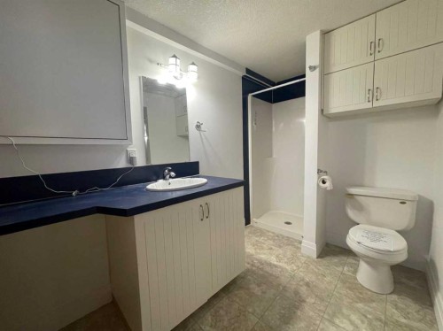 3506 Doverthorn Road Se, Calgary, AB - Indoor Photo Showing Bathroom