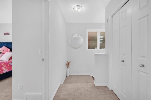 533 Savanna Boulevard Ne, Calgary, AB - Indoor Photo Showing Other Room