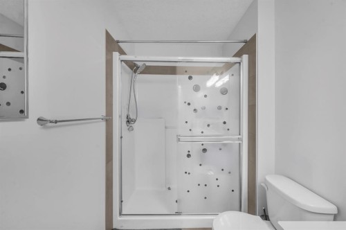 533 Savanna Boulevard Ne, Calgary, AB - Indoor Photo Showing Bathroom