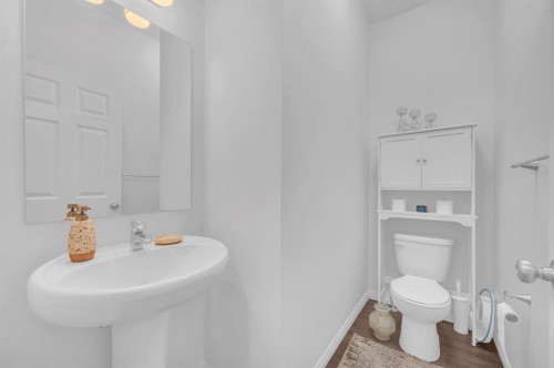533 Savanna Boulevard Ne, Calgary, AB - Indoor Photo Showing Bathroom
