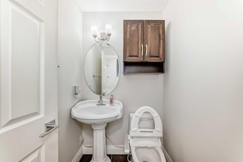 40 Martha'S Meadow Place Ne, Calgary, AB - Indoor Photo Showing Bathroom