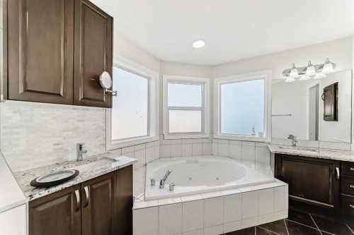 40 Martha'S Meadow Place Ne, Calgary, AB - Indoor Photo Showing Bathroom