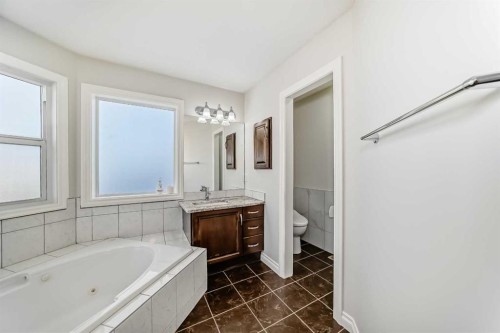 40 Martha'S Meadow Place Ne, Calgary, AB - Indoor Photo Showing Bathroom