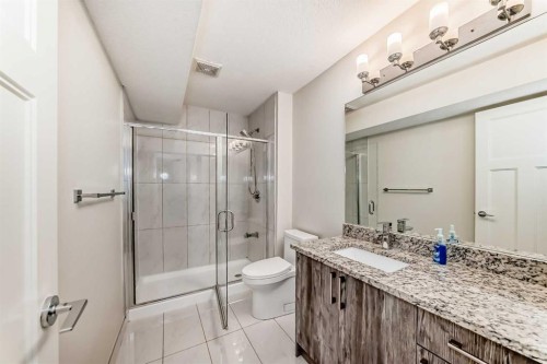 40 Martha'S Meadow Place Ne, Calgary, AB - Indoor Photo Showing Bathroom