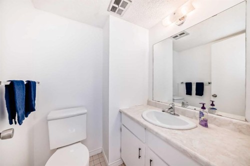 66 Templeby Way Ne, Calgary, AB - Indoor Photo Showing Bathroom