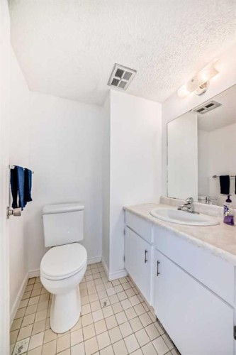 66 Templeby Way Ne, Calgary, AB - Indoor Photo Showing Bathroom