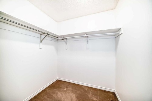 66 Templeby Way Ne, Calgary, AB - Indoor With Storage
