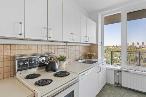 708-3204 Rideau Place Sw, Calgary, AB - Indoor Photo Showing Kitchen