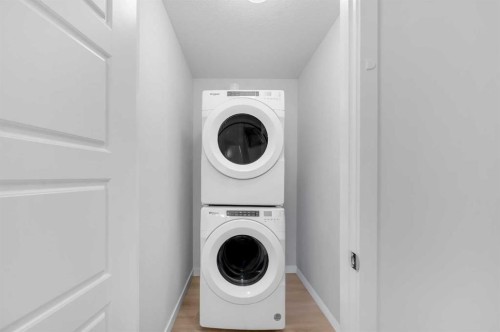 348-301 Redstone Boulevard Ne, Calgary, AB - Indoor Photo Showing Laundry Room