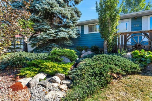 516 Poplar Avenue, Trochu, AB - Outdoor