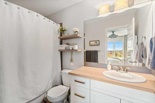2202-250 Fireside View, Cochrane, AB - Indoor Photo Showing Bathroom