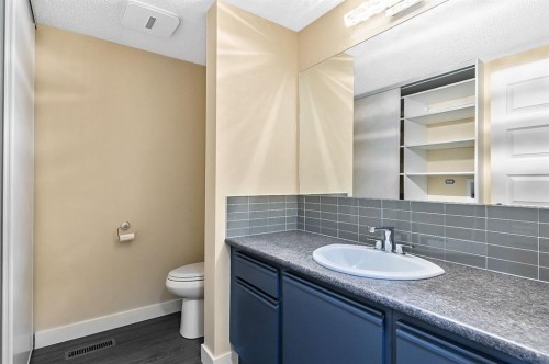 11 Maplewood Green, Strathmore, AB - Indoor Photo Showing Bathroom