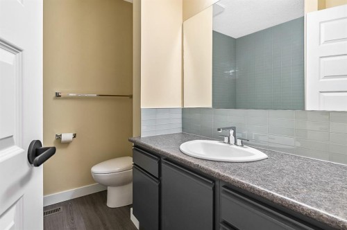 11 Maplewood Green, Strathmore, AB - Indoor Photo Showing Bathroom