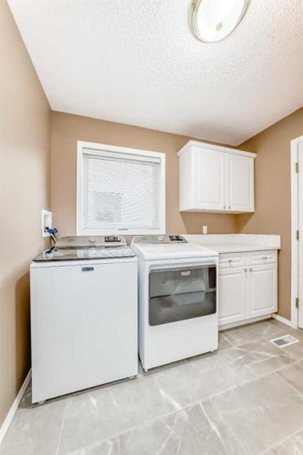 6 Mt Yamnuska Court Se, Calgary, AB - Indoor Photo Showing Laundry Room