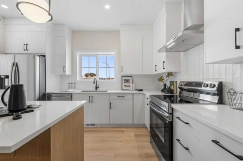 68 Buffaloberry Manor Se, Calgary, AB - Indoor Photo Showing Kitchen With Upgraded Kitchen