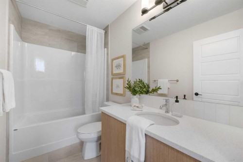 68 Buffaloberry Manor Se, Calgary, AB - Indoor Photo Showing Bathroom