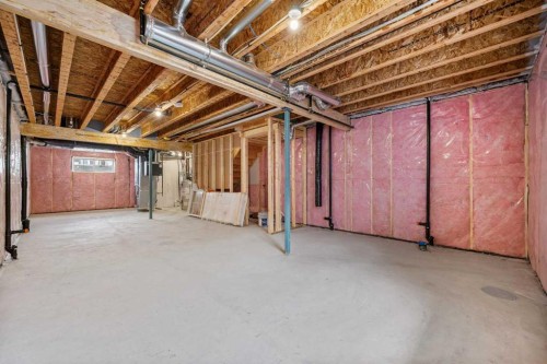 68 Buffaloberry Manor Se, Calgary, AB - Indoor Photo Showing Basement