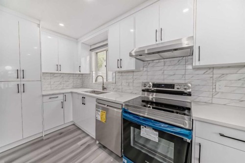 110 Falmere Way Ne, Calgary, AB - Indoor Photo Showing Kitchen With Double Sink With Upgraded Kitchen