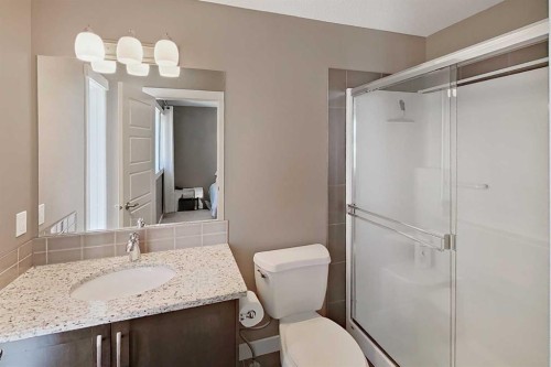 336 Covecreek Circle Ne, Calgary, AB - Indoor Photo Showing Bathroom