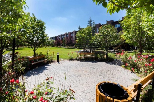 336 Covecreek Circle Ne, Calgary, AB - Outdoor