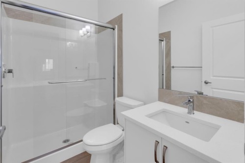 449 Savanna Landing Ne, Calgary, AB - Indoor Photo Showing Bathroom