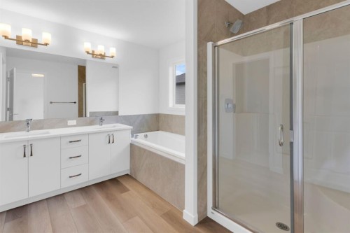 449 Savanna Landing Ne, Calgary, AB - Indoor Photo Showing Bathroom