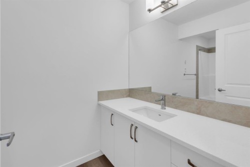 449 Savanna Landing Ne, Calgary, AB - Indoor Photo Showing Bathroom