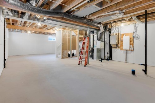 449 Savanna Landing Ne, Calgary, AB - Indoor Photo Showing Basement