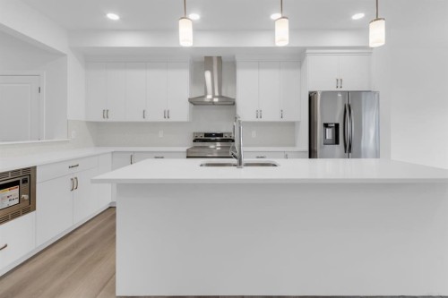 449 Savanna Landing Ne, Calgary, AB - Indoor Photo Showing Kitchen With Upgraded Kitchen