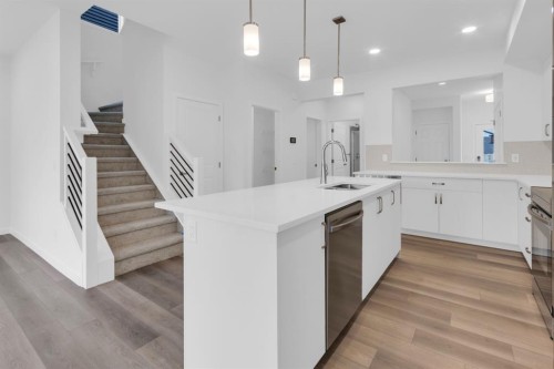 449 Savanna Landing Ne, Calgary, AB - Indoor Photo Showing Kitchen With Upgraded Kitchen