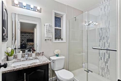 67 Anaheim Crescent Ne, Calgary, AB - Indoor Photo Showing Bathroom