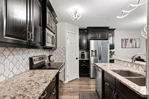 67 Anaheim Crescent Ne, Calgary, AB - Indoor Photo Showing Kitchen With Double Sink With Upgraded Kitchen