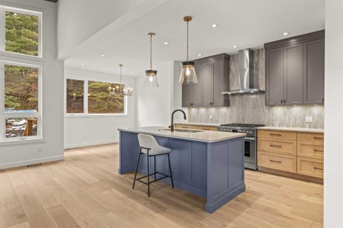 249A Three Sisters Drive, Canmore, AB - Indoor Photo Showing Kitchen With Upgraded Kitchen